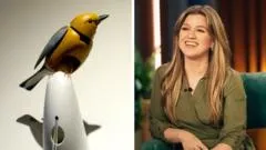 Tempête sur les réseaux sociaux: Kelly Clarkson ak Brooklyn