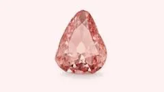 Diamant rose bu rëy bi: exposition ci Musée Condé ci France